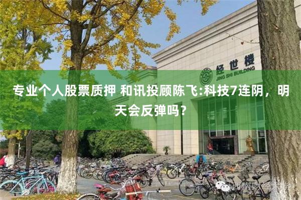 专业个人股票质押 和讯投顾陈飞:科技7连阴，明天会反弹吗？