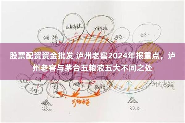 股票配资资金批发 泸州老窖2024年报重点，泸州老窖与茅台五粮液五大不同之处