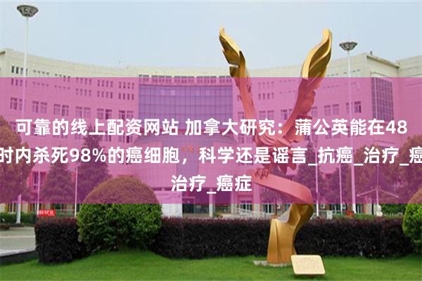 可靠的线上配资网站 加拿大研究：蒲公英能在48小时内杀死98%的癌细胞，科学还是谣言_抗癌_治疗_癌症