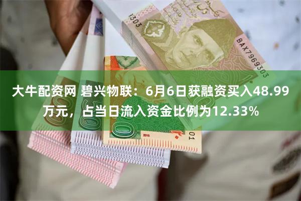 大牛配资网 碧兴物联：6月6日获融资买入48.99万元，占当日流入资金比例为12.33%