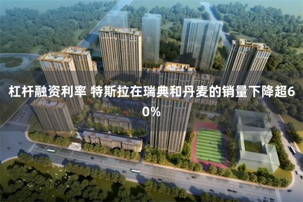 杠杆融资利率 特斯拉在瑞典和丹麦的销量下降超60%