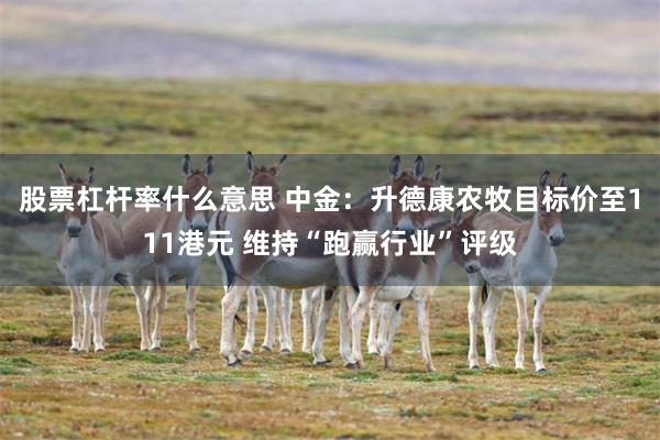 股票杠杆率什么意思 中金：升德康农牧目标价至111港元 维持“跑赢行业”评级